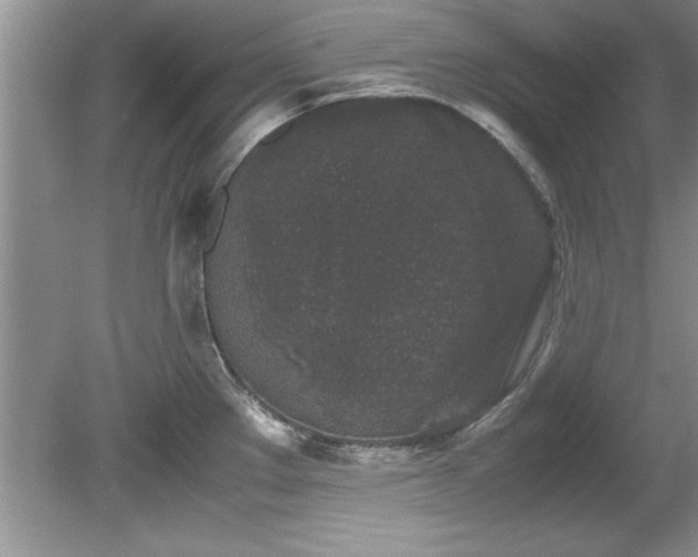 X0000081571289200701221043