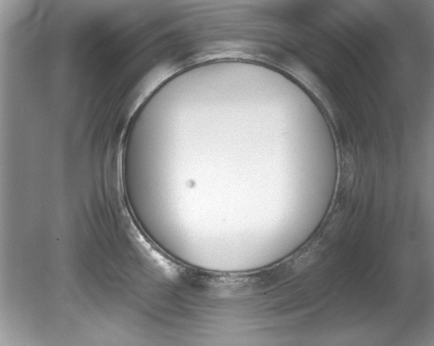 X0000081571290200701221043