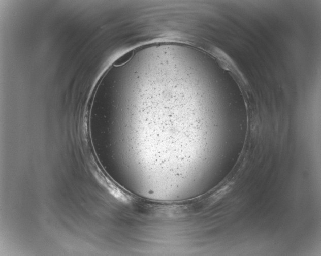 X0000081571292200701221043