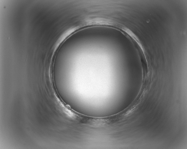 X0000081571293200701221043