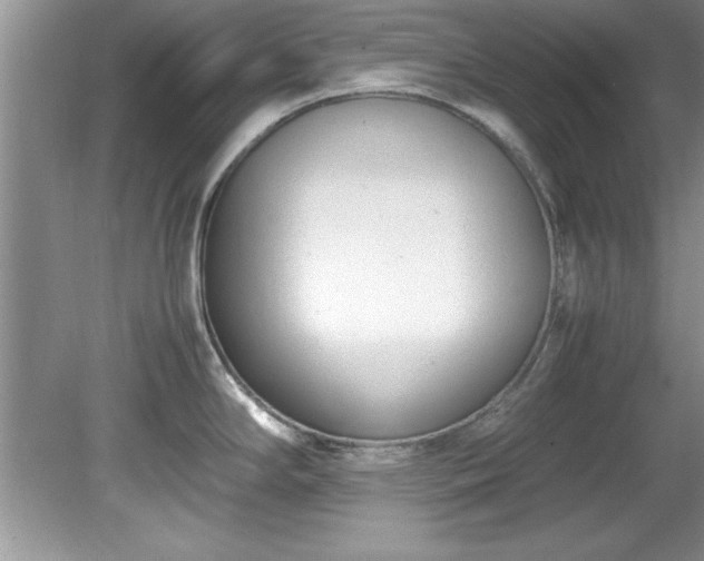 X0000081571294200701221043