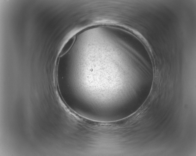 X0000081571295200701221043