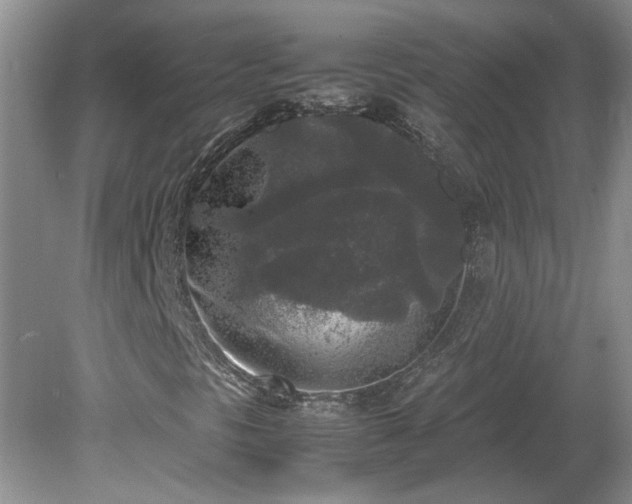 X0000081571297200701221042