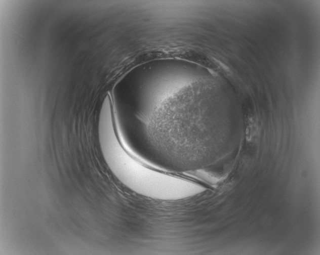 X0000081571298200701221042