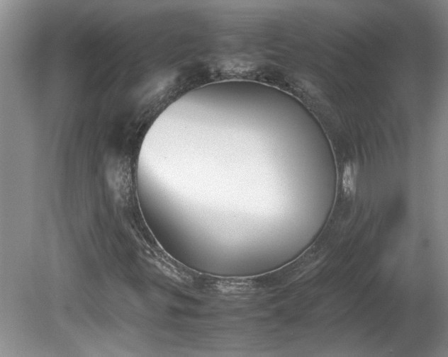 X0000081571299200701221042