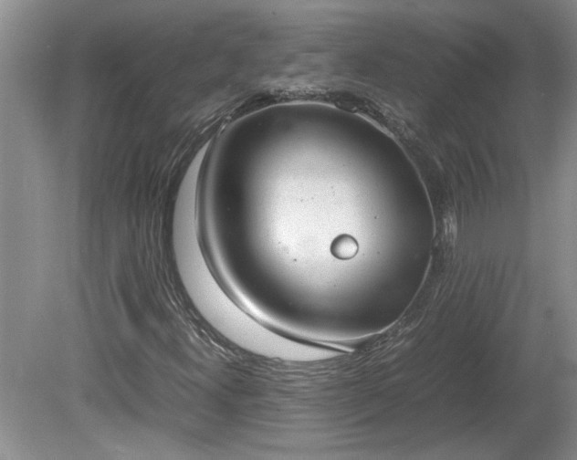 X0000081571300200701221042