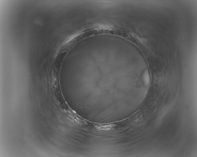 X0000081571303200701221042