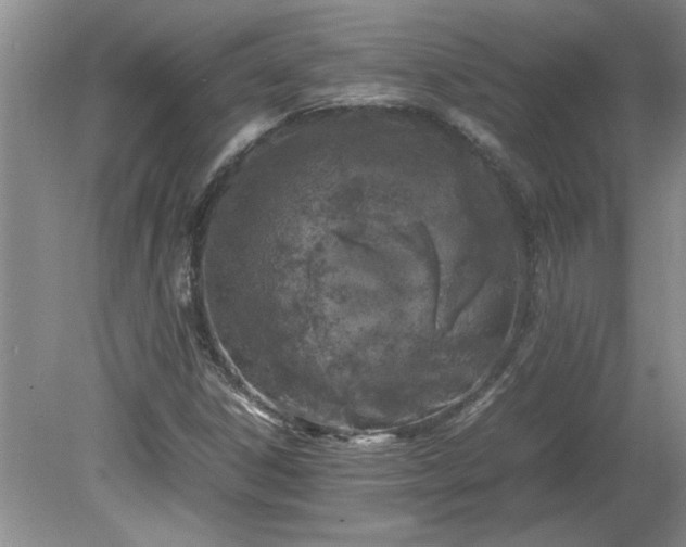 X0000081571306200701221042