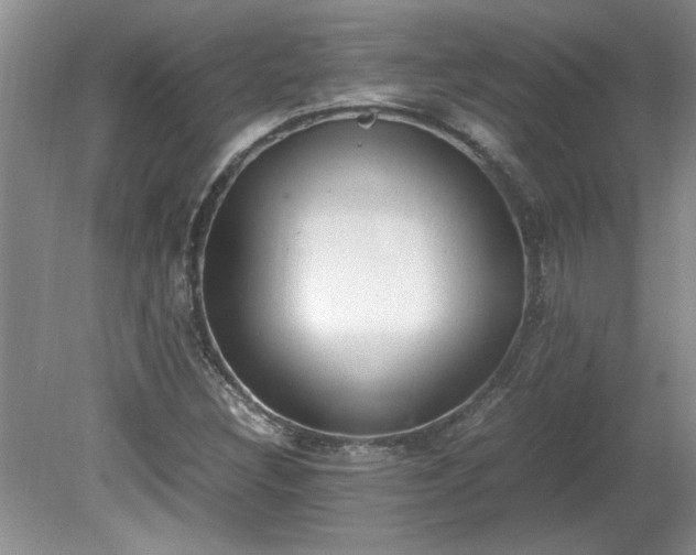 X0000081571308200701221042