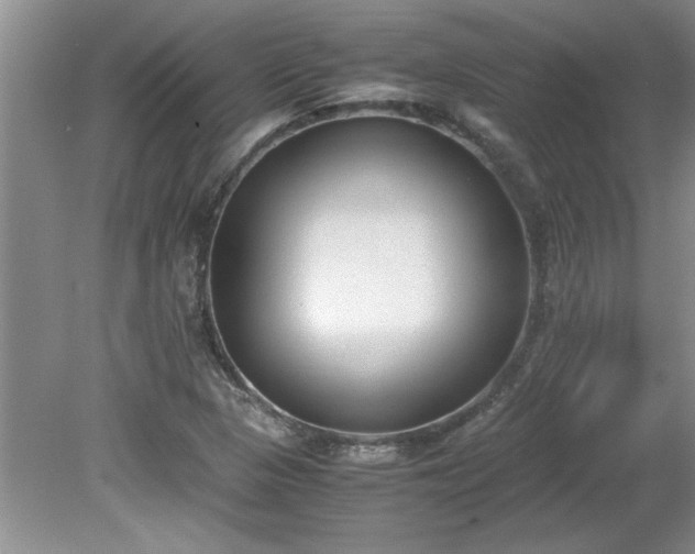 X0000081571313200701221042
