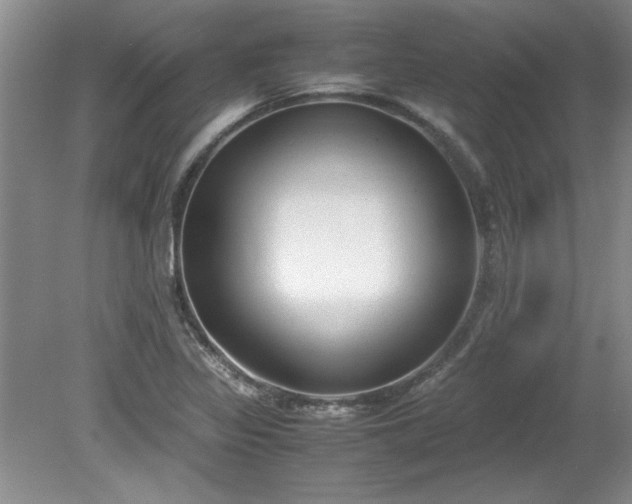 X0000081571317200701221042