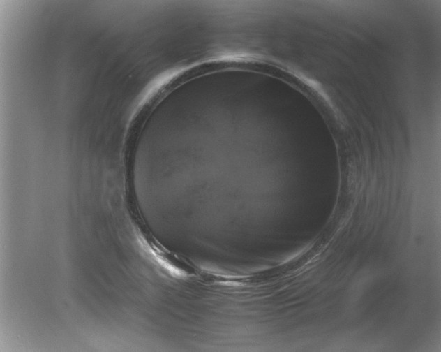 X0000081571319200701221042