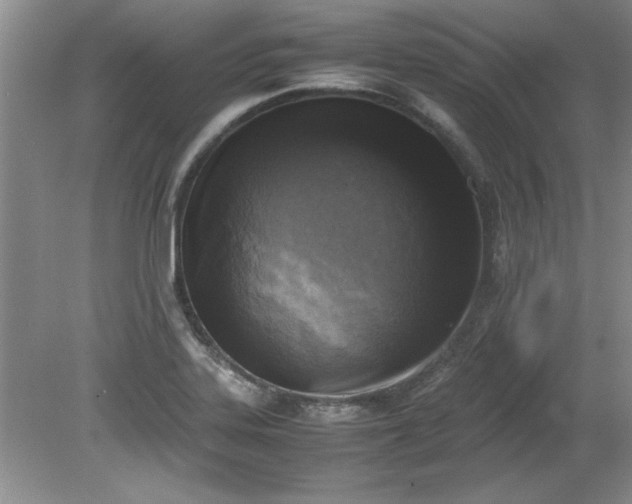 X0000081571323200701221043