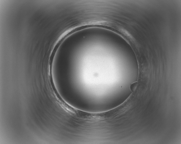 X0000081571324200701221043