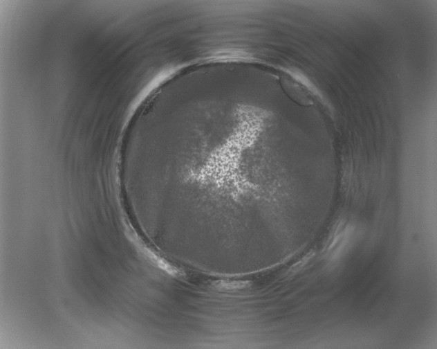 X0000081571325200701221043