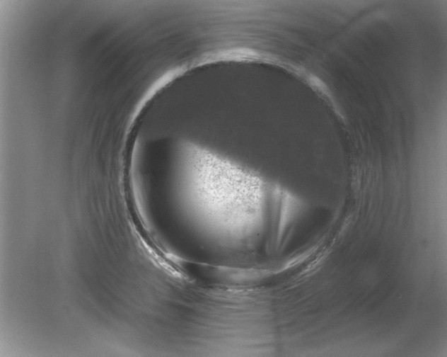 X0000081571326200701221043