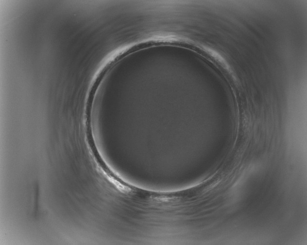 X0000081571327200701221043