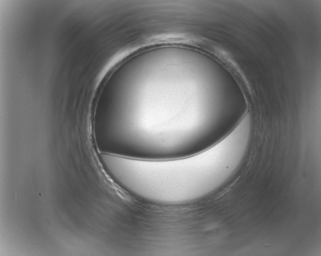 X0000081571328200701221043