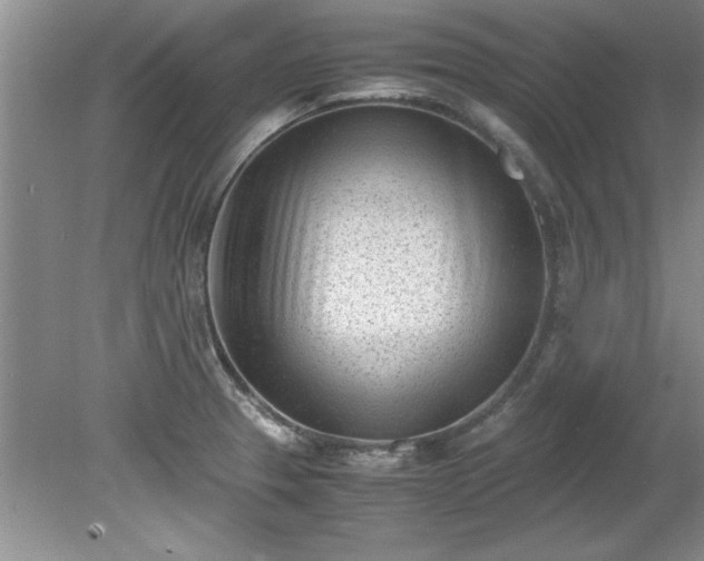 X0000081571329200701221043