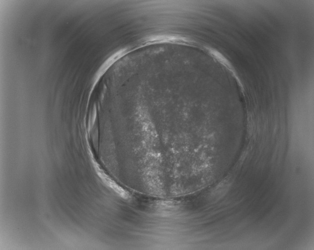 X0000081571330200701221043