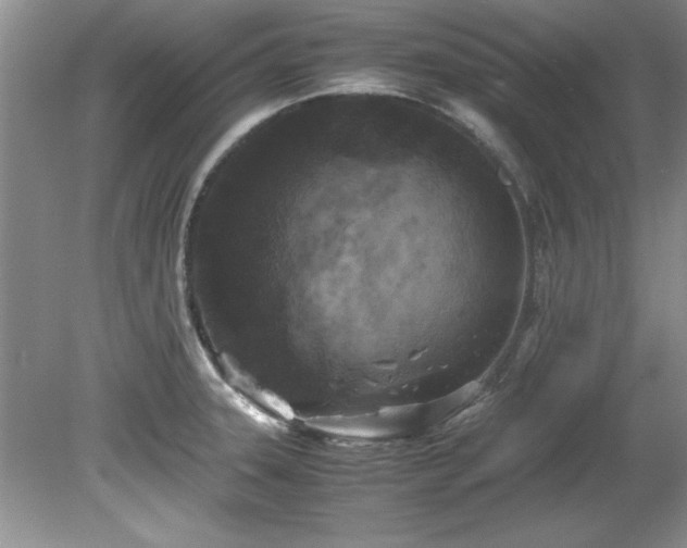 X0000081571331200701221043