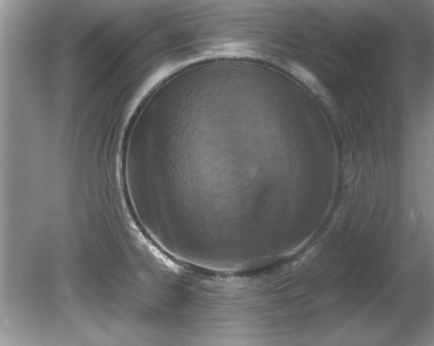 X0000081571334200701221043