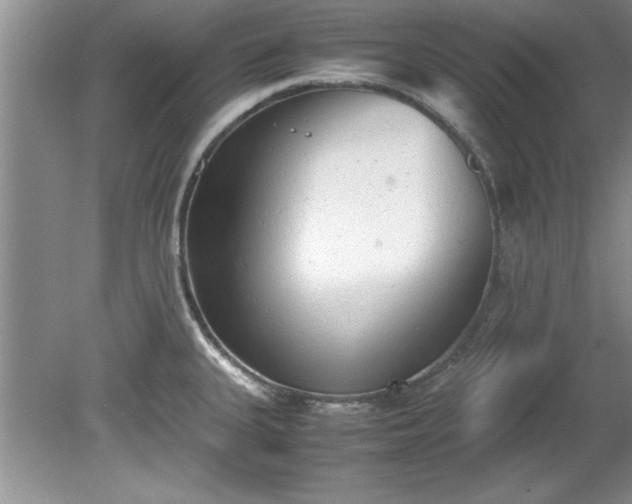 X0000081571335200701221043