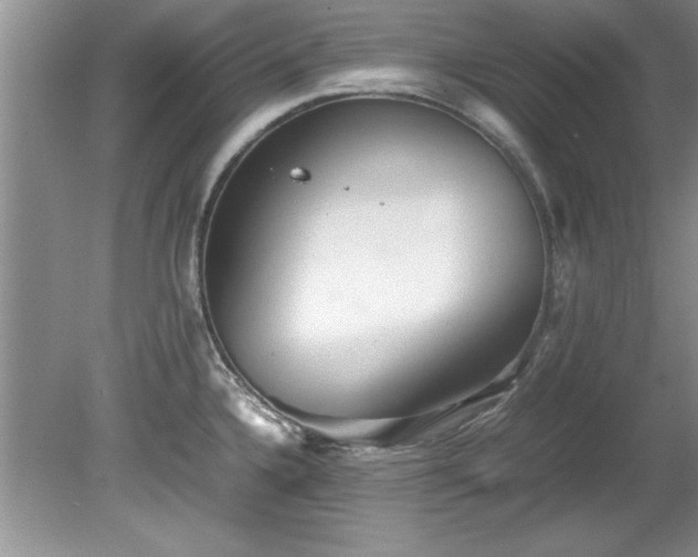 X0000081571336200701221043