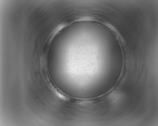 X0000081571337200701221043