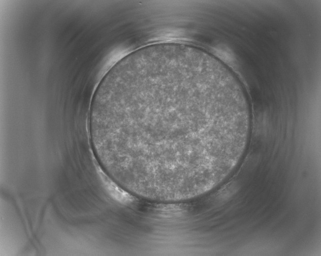 X0000081571338200701221043