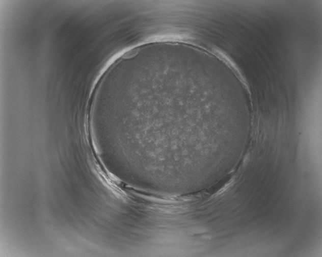 X0000081571340200701221043