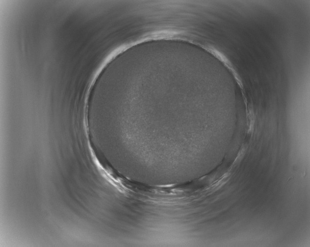 X0000081571342200701221043