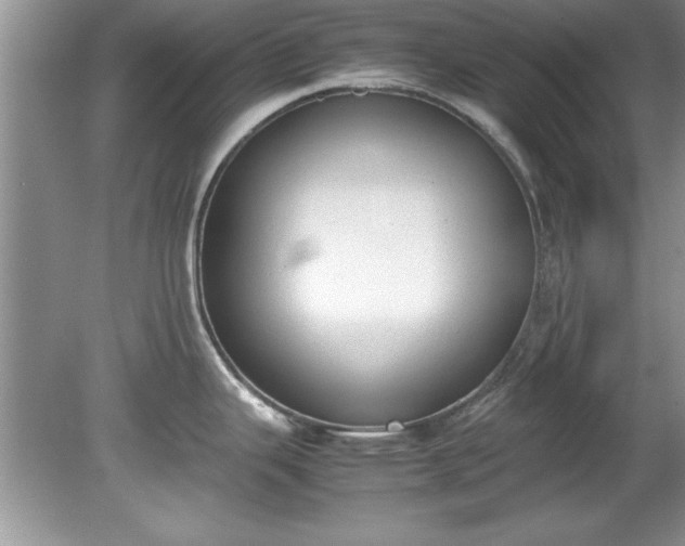 X0000081571343200701221043