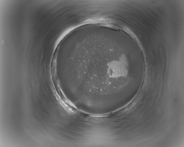 X0000081571344200701221043