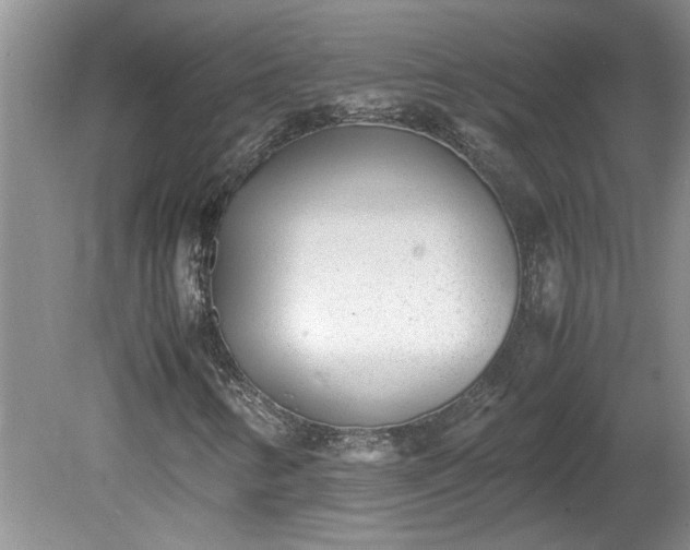 X0000081571346200701221042