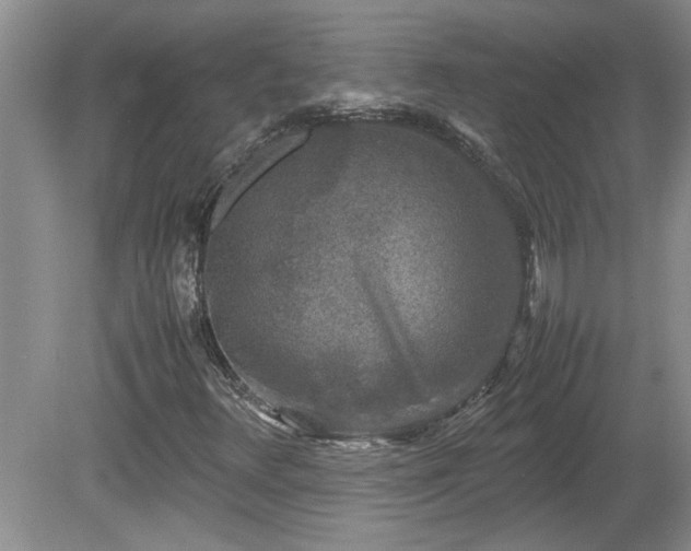 X0000081571348200701221042