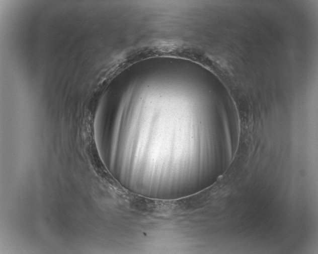 X0000081571349200701221042