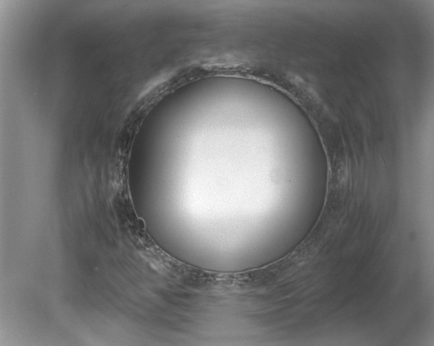 X0000081571350200701221042