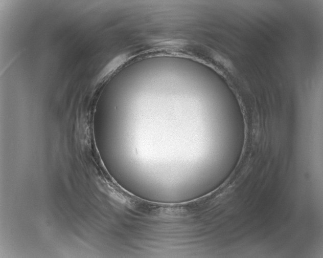 X0000081571354200701221042