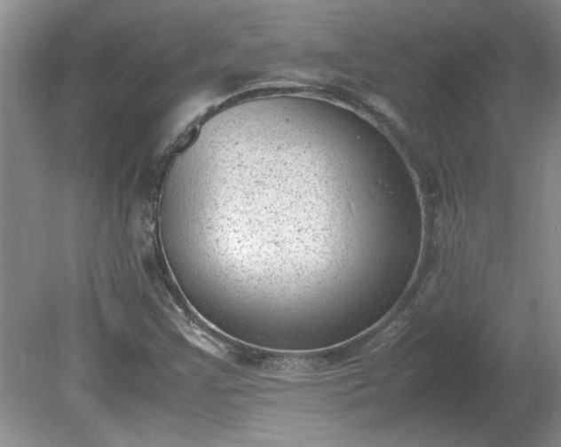 X0000081571355200701221042