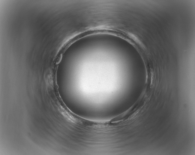 X0000081571356200701221042