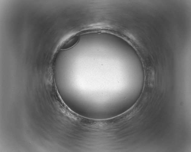 X0000081571358200701221042