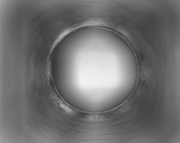 X0000081571366200701221042