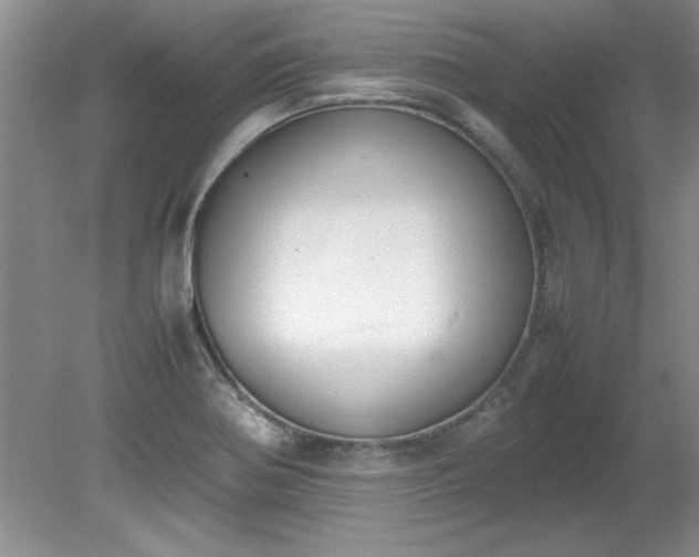 X0000081571370200701221042