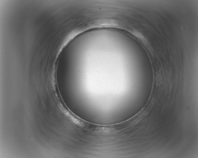 X0000081571374200701221042