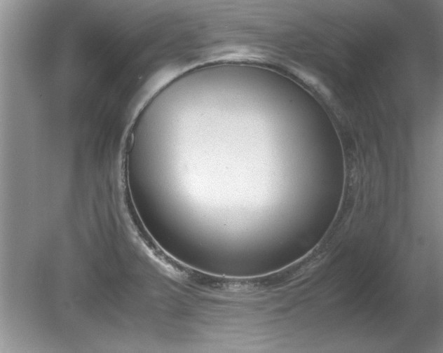 X0000081571375200701221042