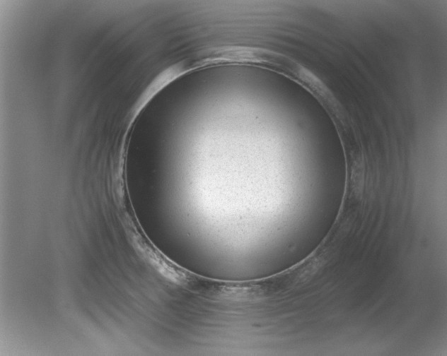 X0000081571378200701221042