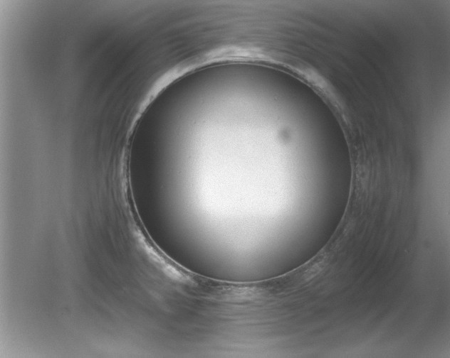 X0000081571382200701221041