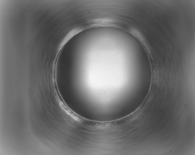 X0000081571386200701221041