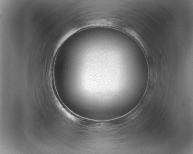 X0000081571387200701221041